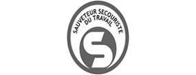 logo-ssdt